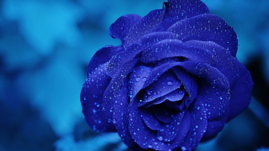 Ghemme: s'inaugura il progetto 